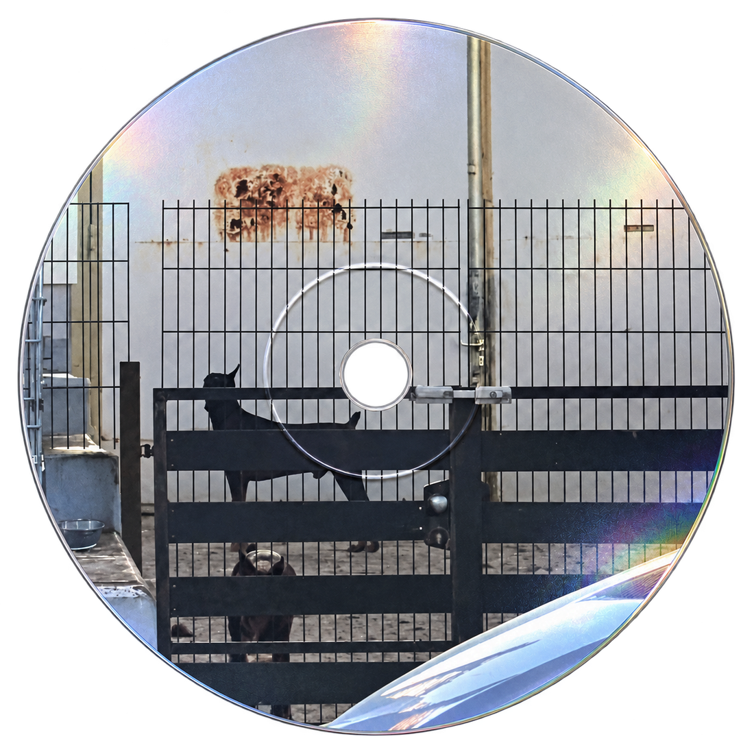 Physical CD of Dilemma / Estrel, printed with the cover image of a dog behind a fence