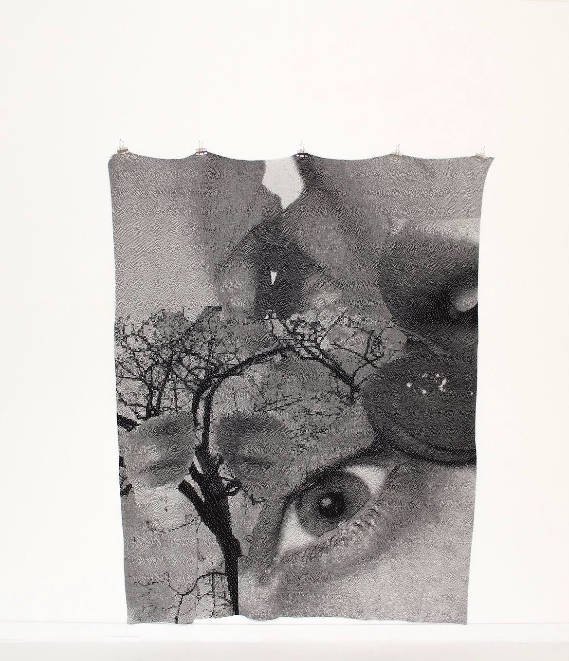 Woven Sheets: an eye behind bare branches, woven in greyscale