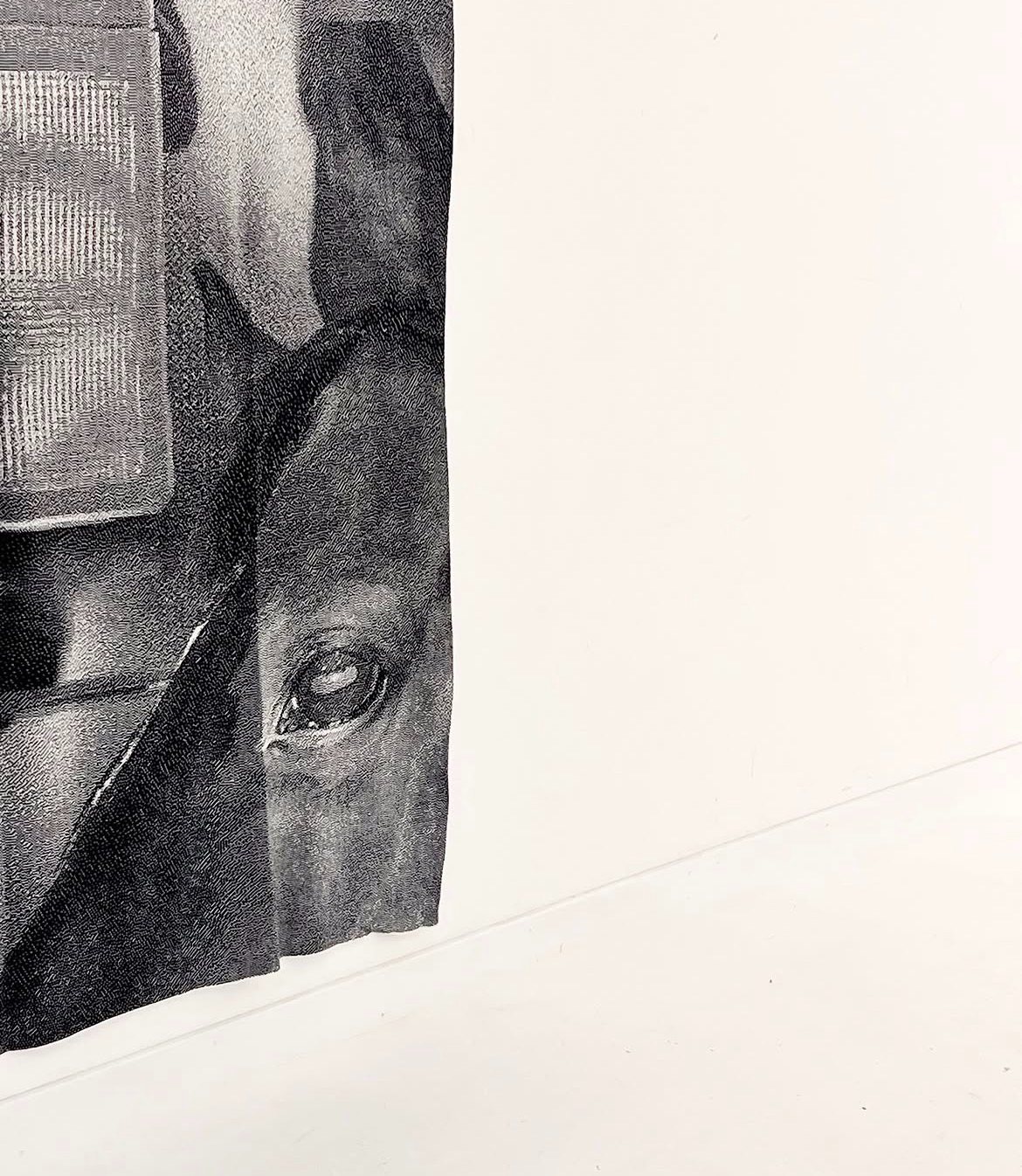 Woven Sheets: detail of the weave